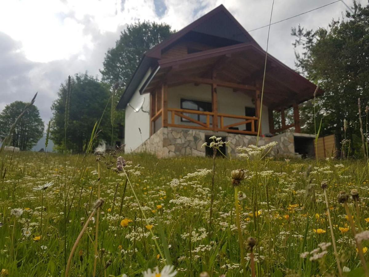 Eco Village Highlander Žabljak Eksteriør billede